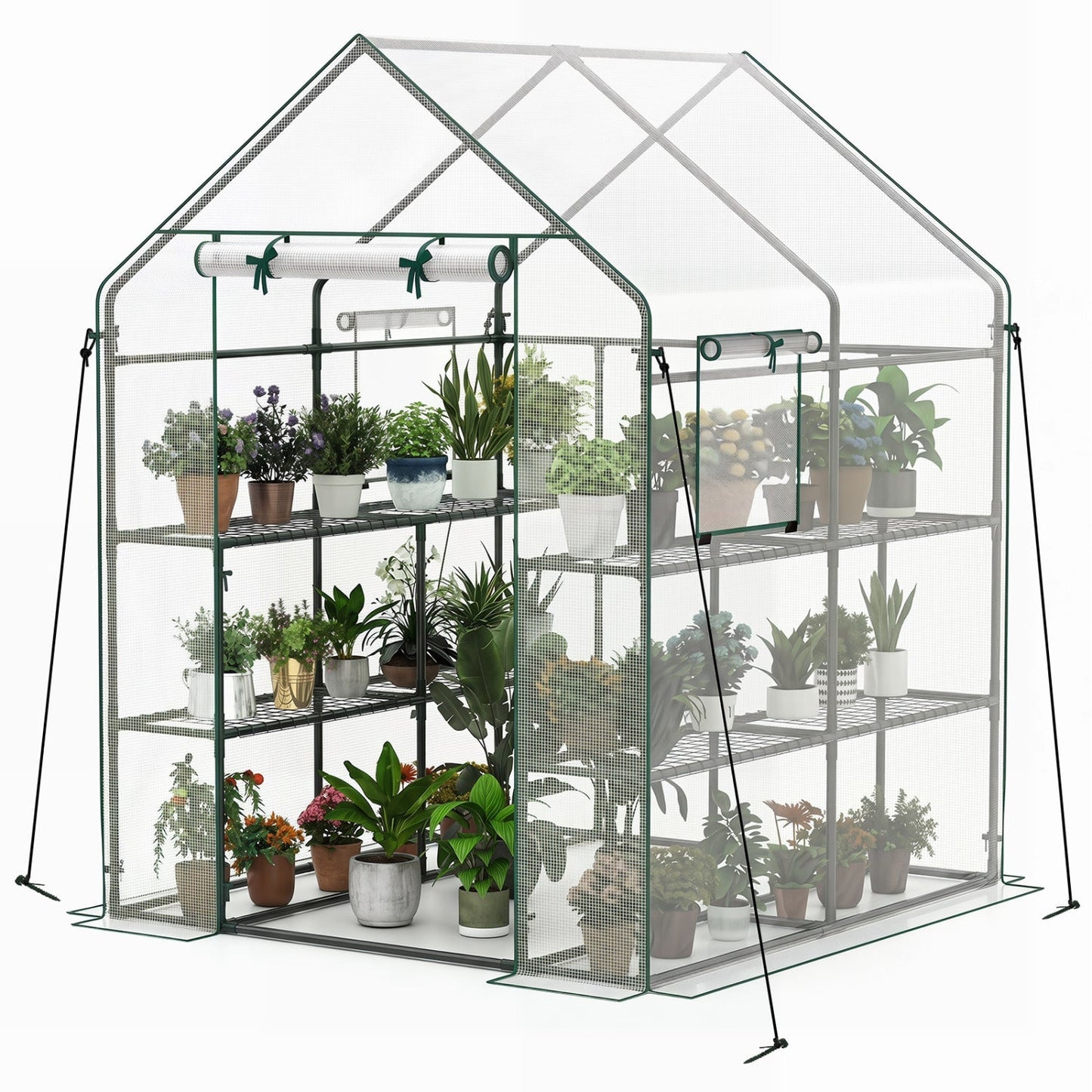 Walk-In Greenhouse 56x56x77 Inch with Observation Windows