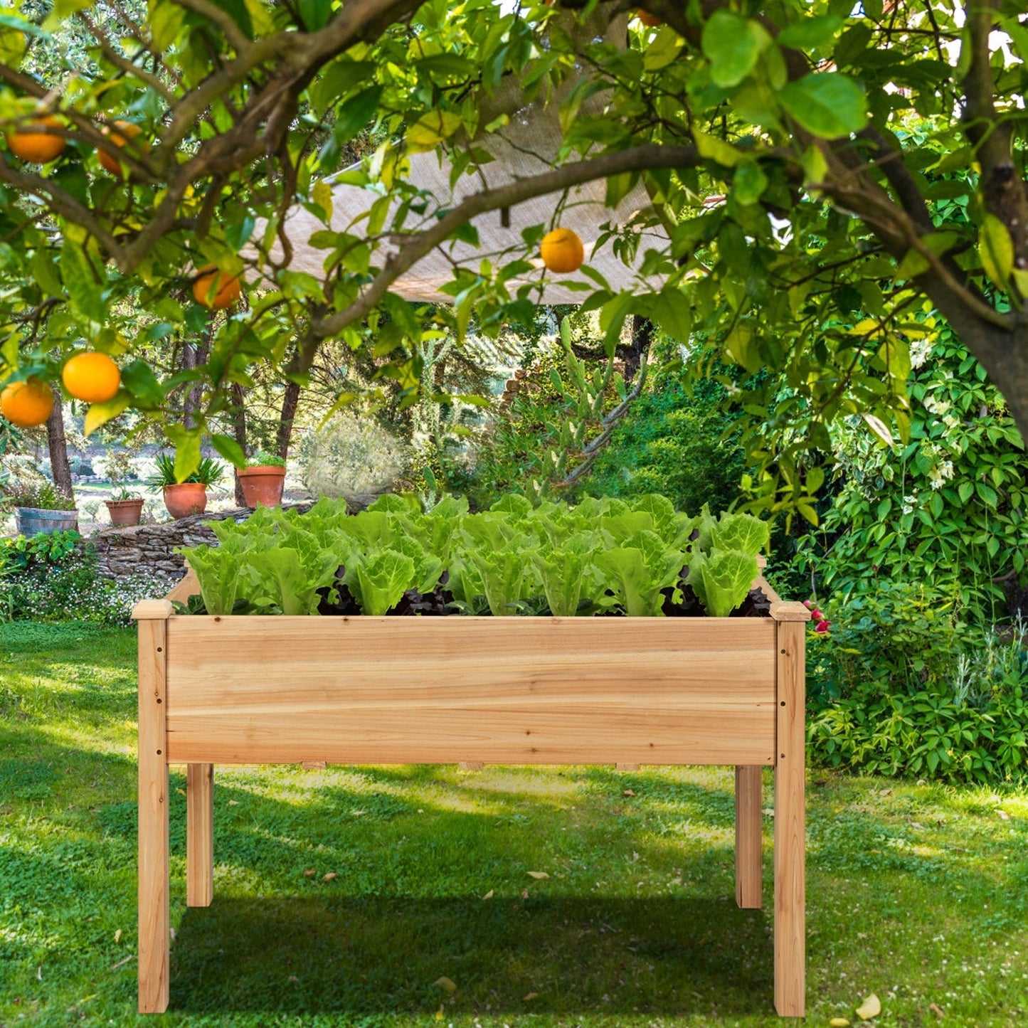 Elevated  Vegetable Planter