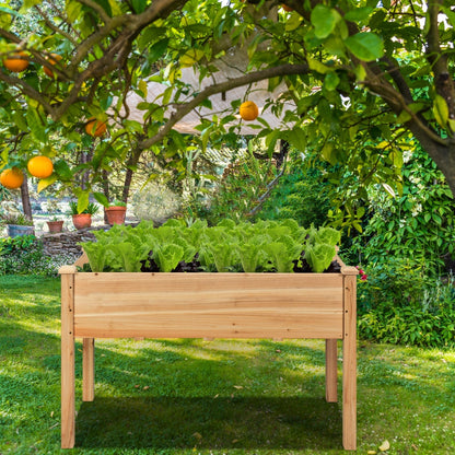 Elevated  Vegetable Planter