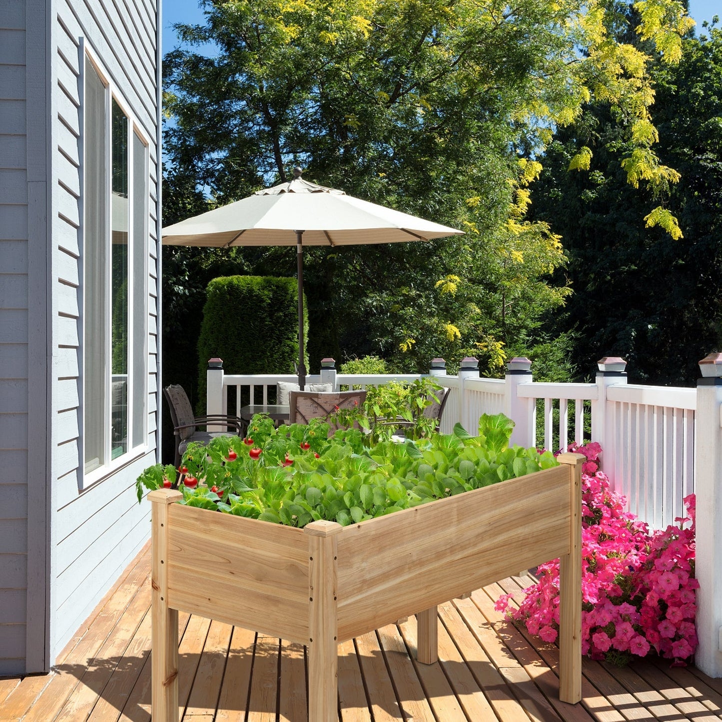 Elevated  Vegetable Planter