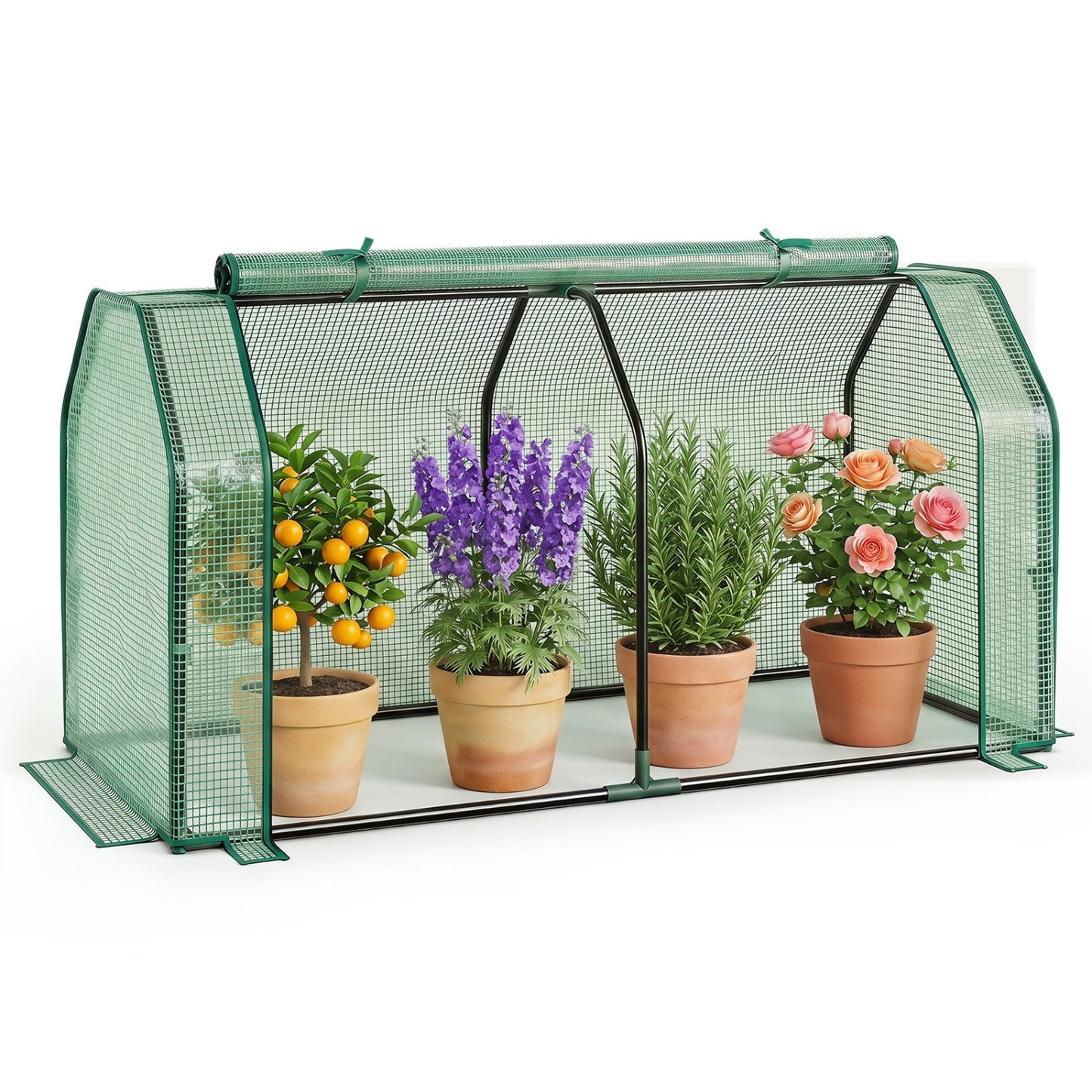 Portable Mini Greenhouse