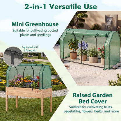 Portable Mini Greenhouse