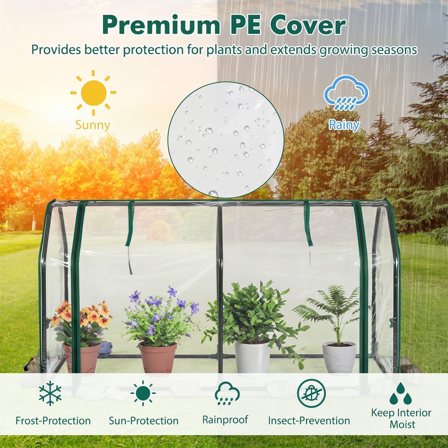 Portable Mini Greenhouse