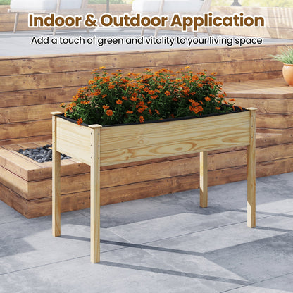 Elevated  Vegetable Planter